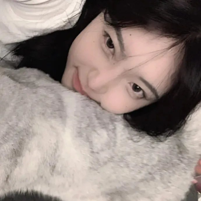 万紫千红花弄蝶